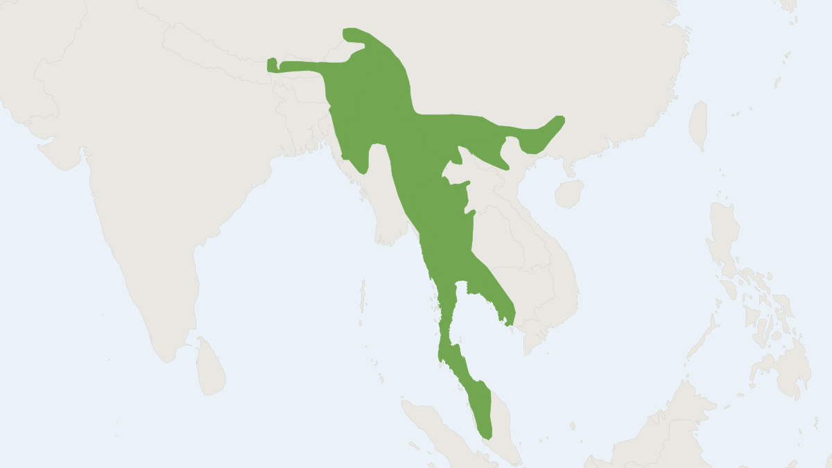 Range map of the Himalayan Striped Squirrel (Tamiops mcclellandii)