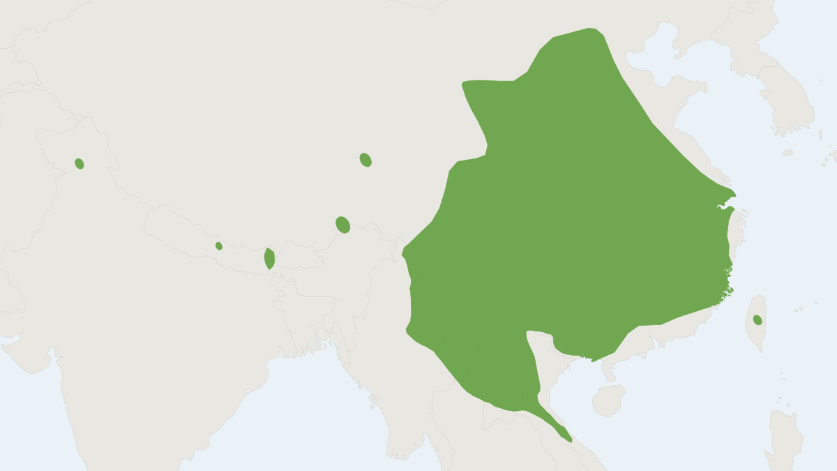 Range map of the Himalayan Water Shrew (Chimarrogale himalayica)