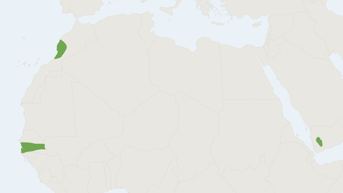 Range map of the Hipposideros tephrus (Hipposideros tephrus)