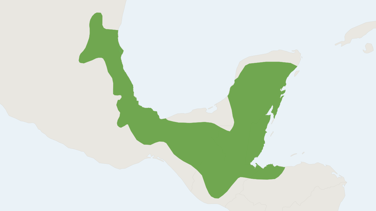 Range map of the Hispid Pocket Gopher (Orthogeomys hispidus)