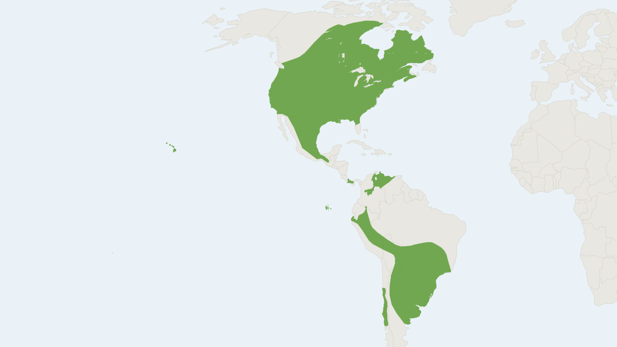 Range map of the Hoary Bat (Lasiurus cinereus)