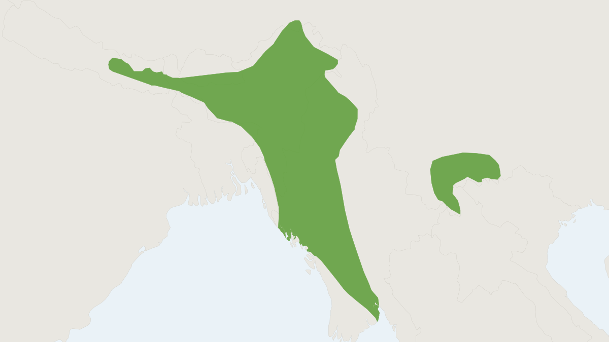 Range map of the Hoary-bellied Squirrel (Callosciurus pygerythrus) covering Bangladesh, Bhutan and China