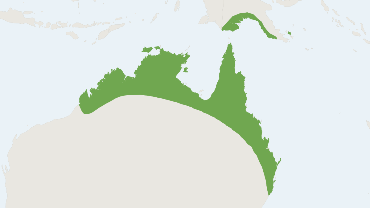 Range map of the Hoary Wattled Bat (Chalinolobus nigrogriseus) covering Australia, Indonesia and United Kingdom