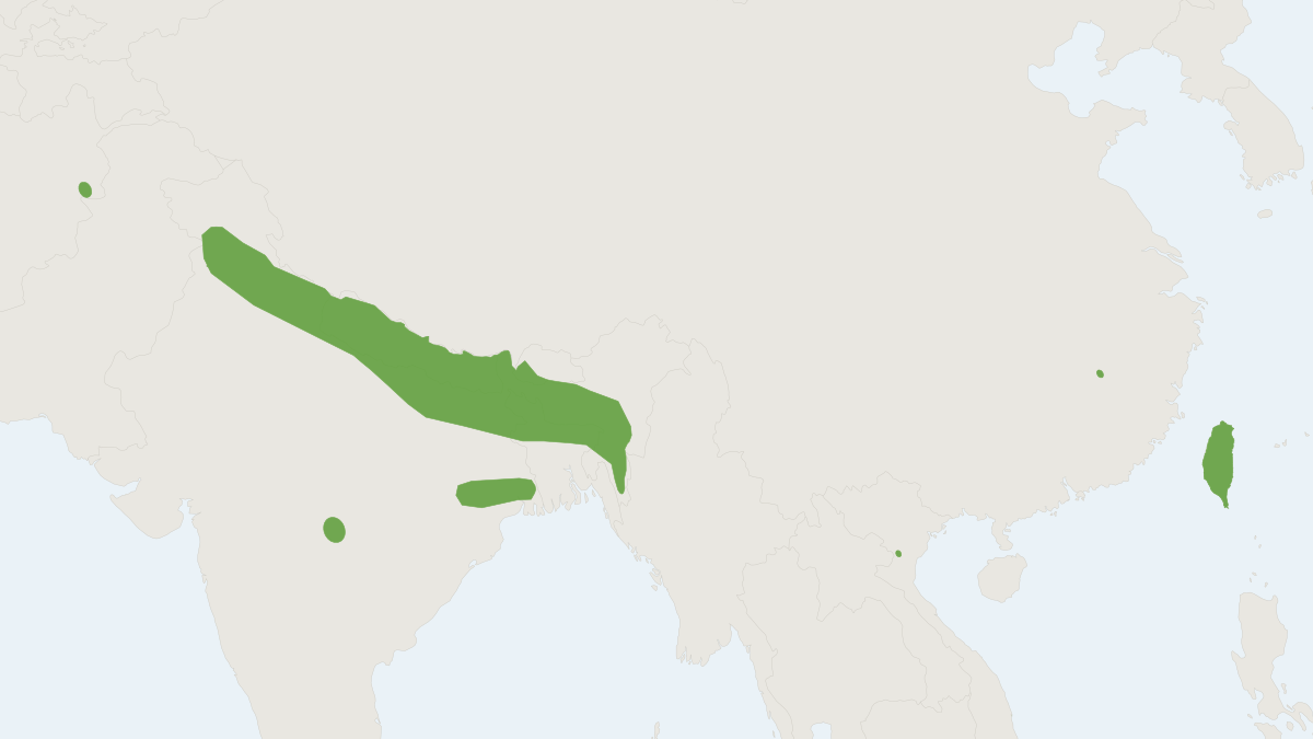 Range map of the Hodgson's Bat (Myotis formosus)