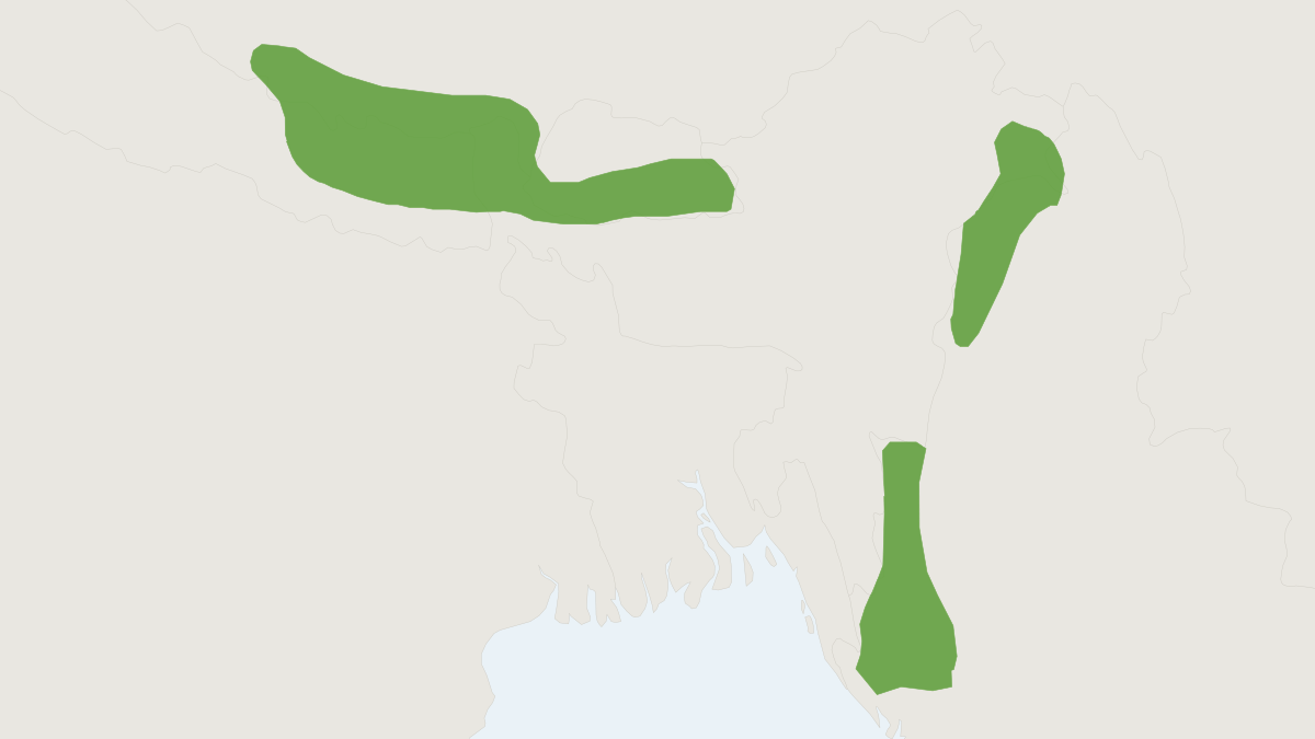 Range map of the Hodgson's Giant Flying Squirrel (Petaurista magnificus)