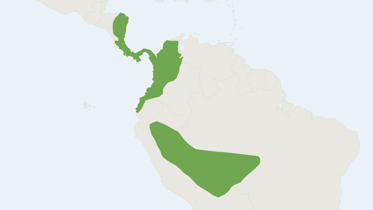 Range map of the Hoffmann's Two-toed Sloth (Choloepus hoffmanni) covering Bolivia, Brazil and Colombia
