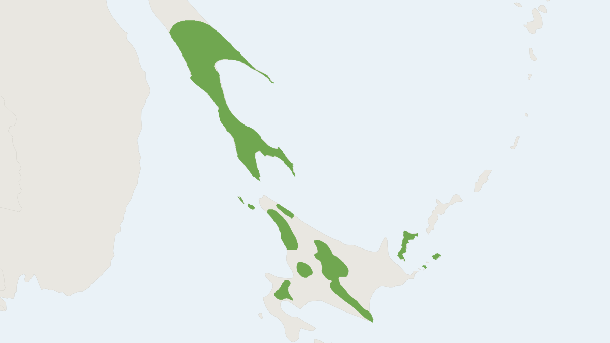 Range map of the Hokkaido Red-backed Vole (Craseomys rex)