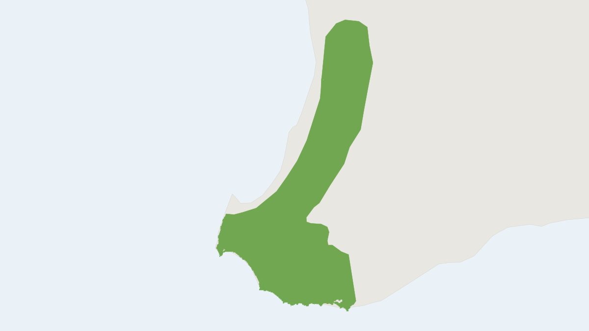 Range map of the Holt's Long-eared Bat (Nyctophilus holtorum)
