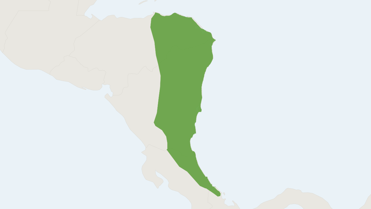 Range map of the Honduran White Bat (Ectophylla alba)