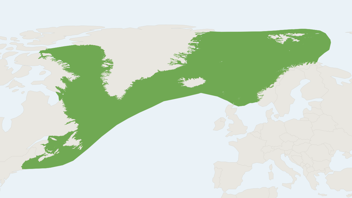 Range map of the Hooded Seal (Cystophora cristata)
