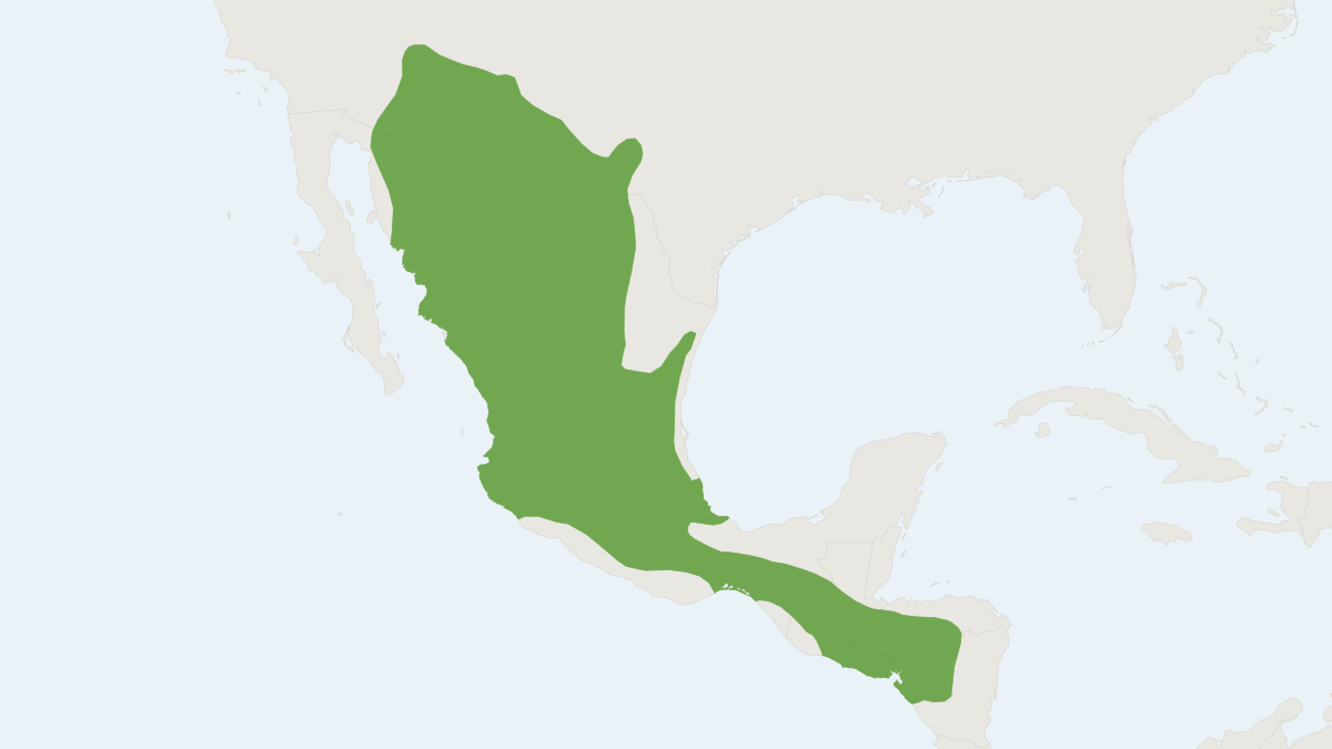 Range map of the Hooded Skunk (Mephitis macroura)