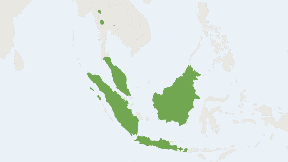 Range map of the Horsfield’s Fruit Bat (Cynopterus horsfieldii)