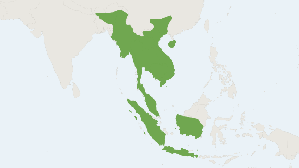 Range map of the Horsfield's Leaf-nosed Bat (Hipposideros larvatus)