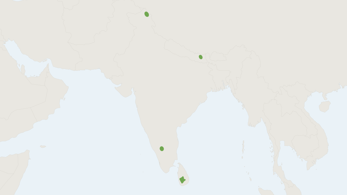 Range map of the Horsfield's Shrew (Crocidura horsfieldii)