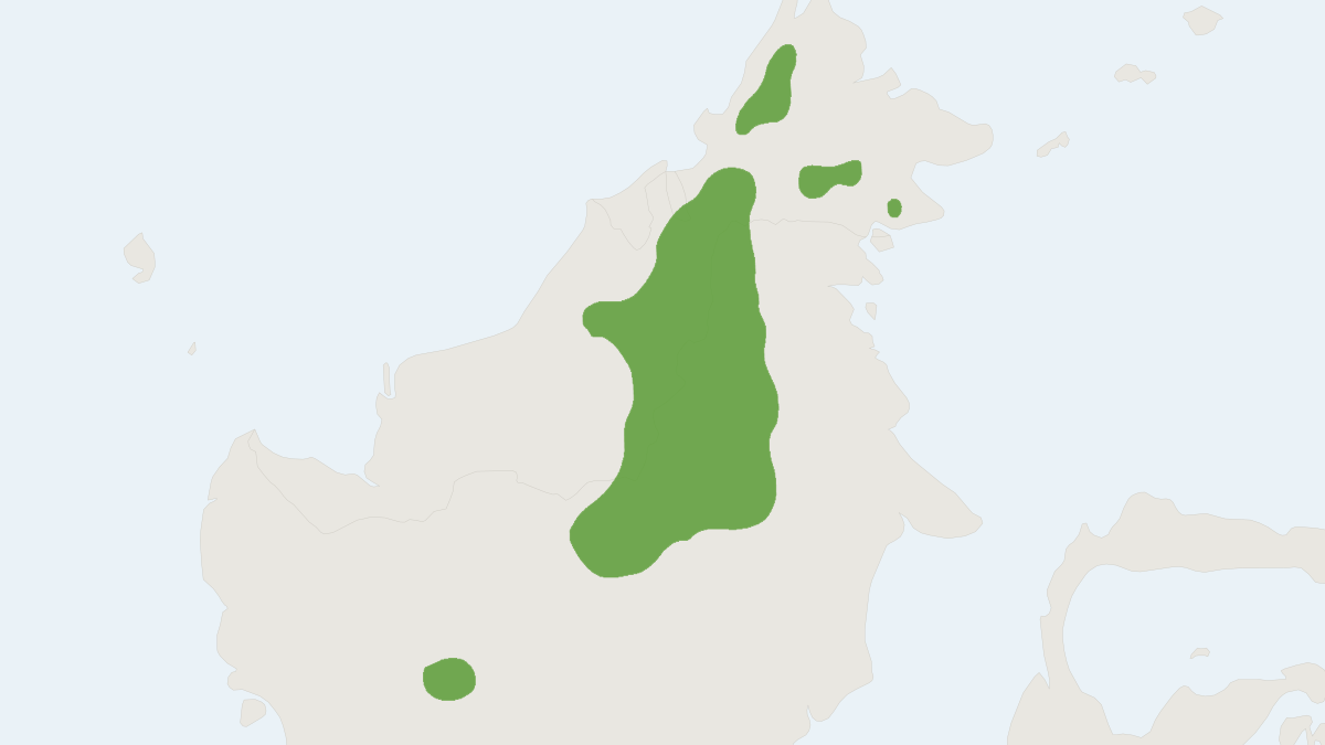 Range map of the Hose's Civet (Diplogale hosei)