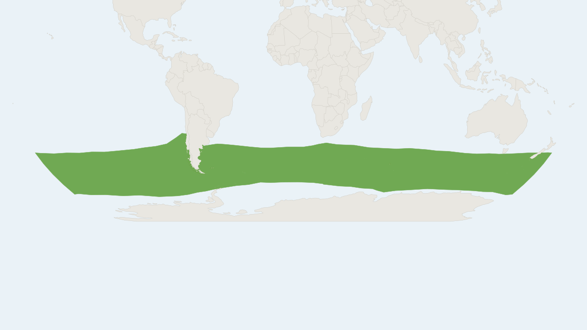 Range map of the Hourglass Dolphin (Lagenorhynchus cruciger)
