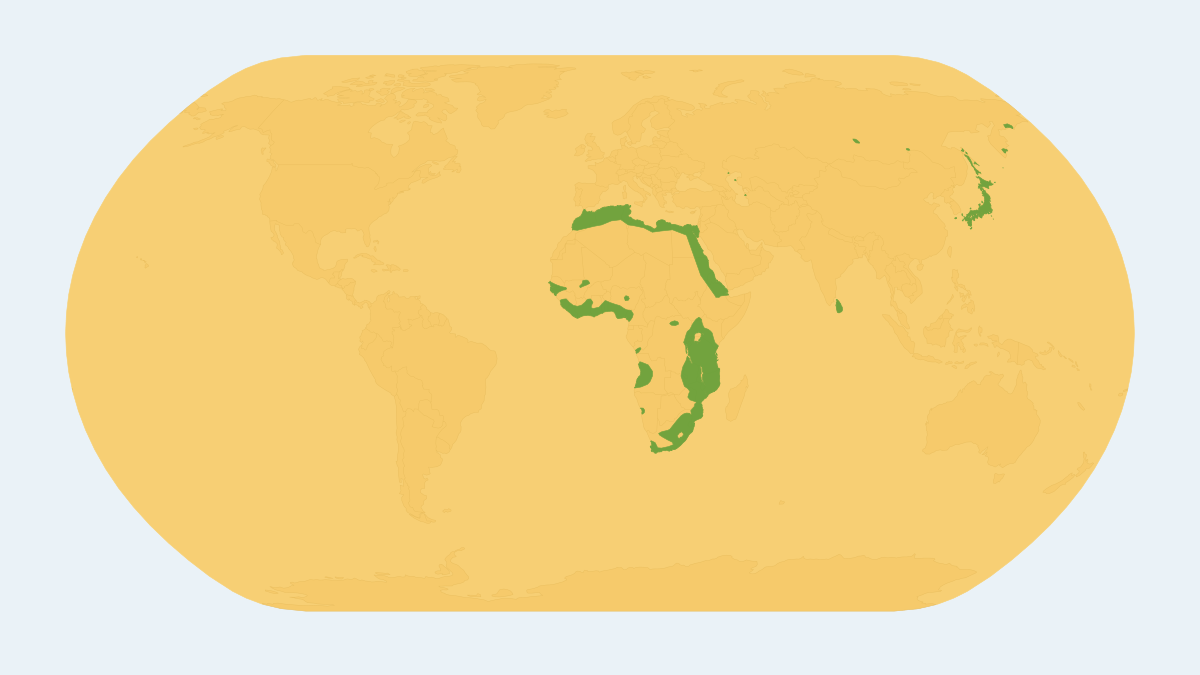 Range map of the House Rat (Rattus rattus)