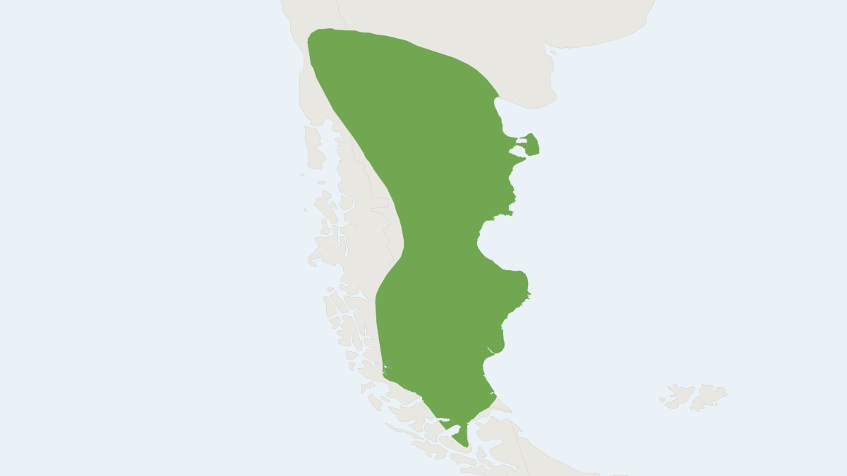 Range map of the Humboldt's Hog-nosed Skunk (Conepatus humboldtii)