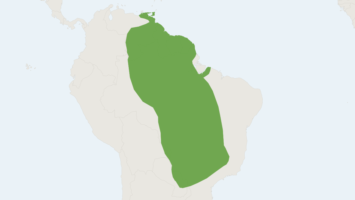 Range map of the Hylaeamys megacephalus (Hylaeamys megacephalus)