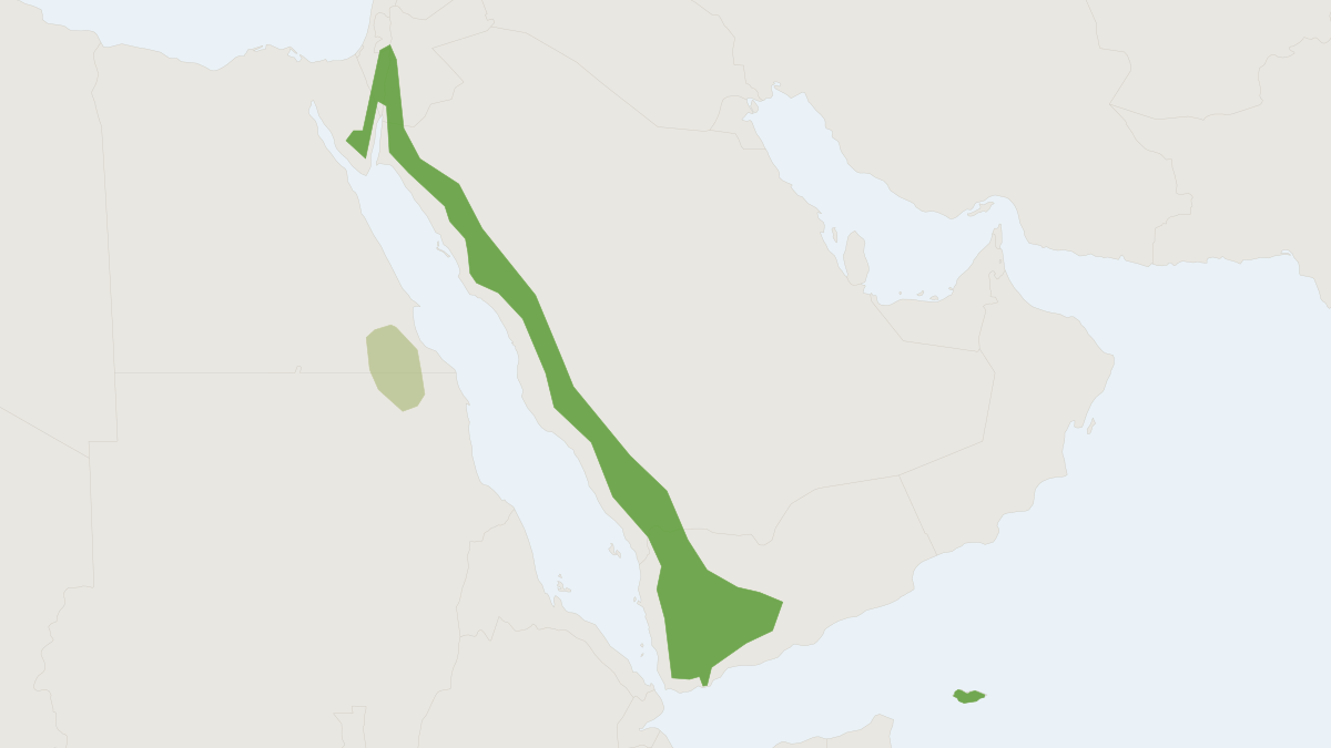 Range map of the Hypsugo ariel (Hypsugo ariel)