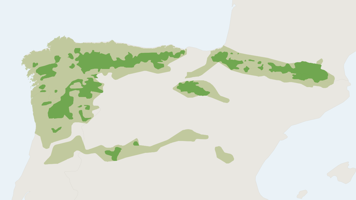 Range map of the Iberian Desman (Galemys pyrenaicus)