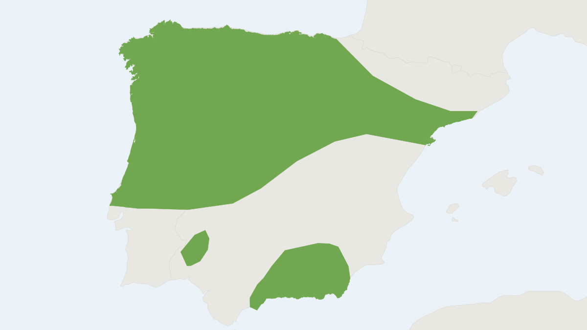 Range map of the Iberian Water Shrew (Neomys anomalus)