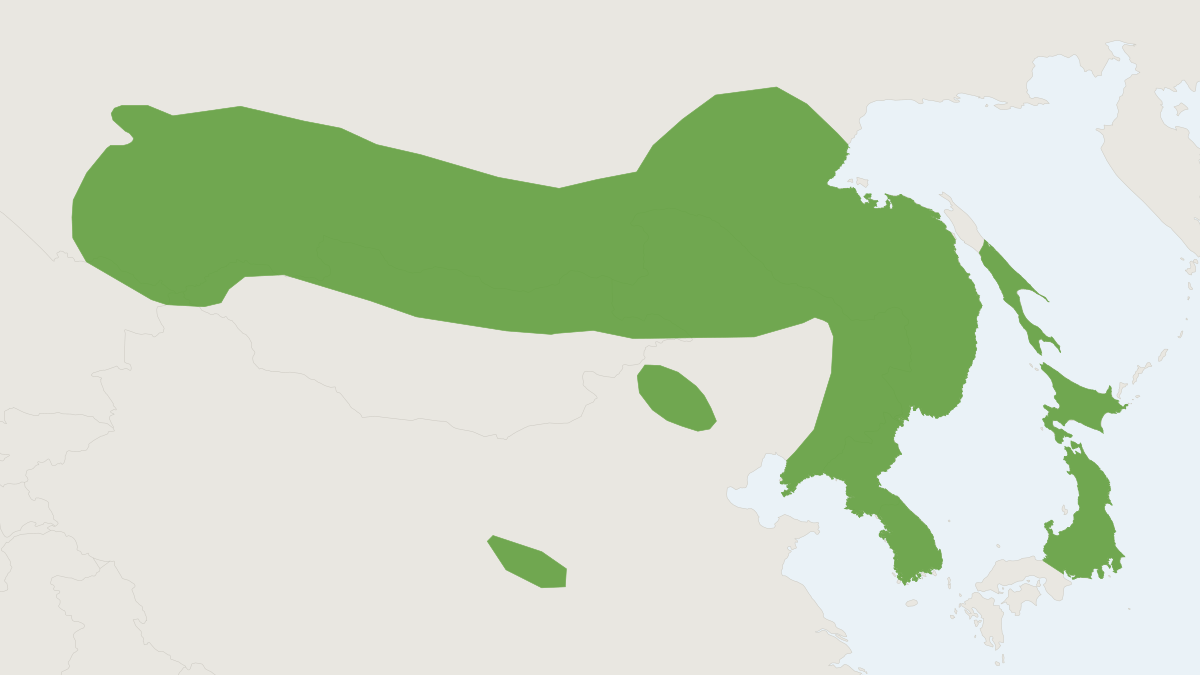 Range map of the Ikonnikov's Bat (Myotis ikonnikovi)
