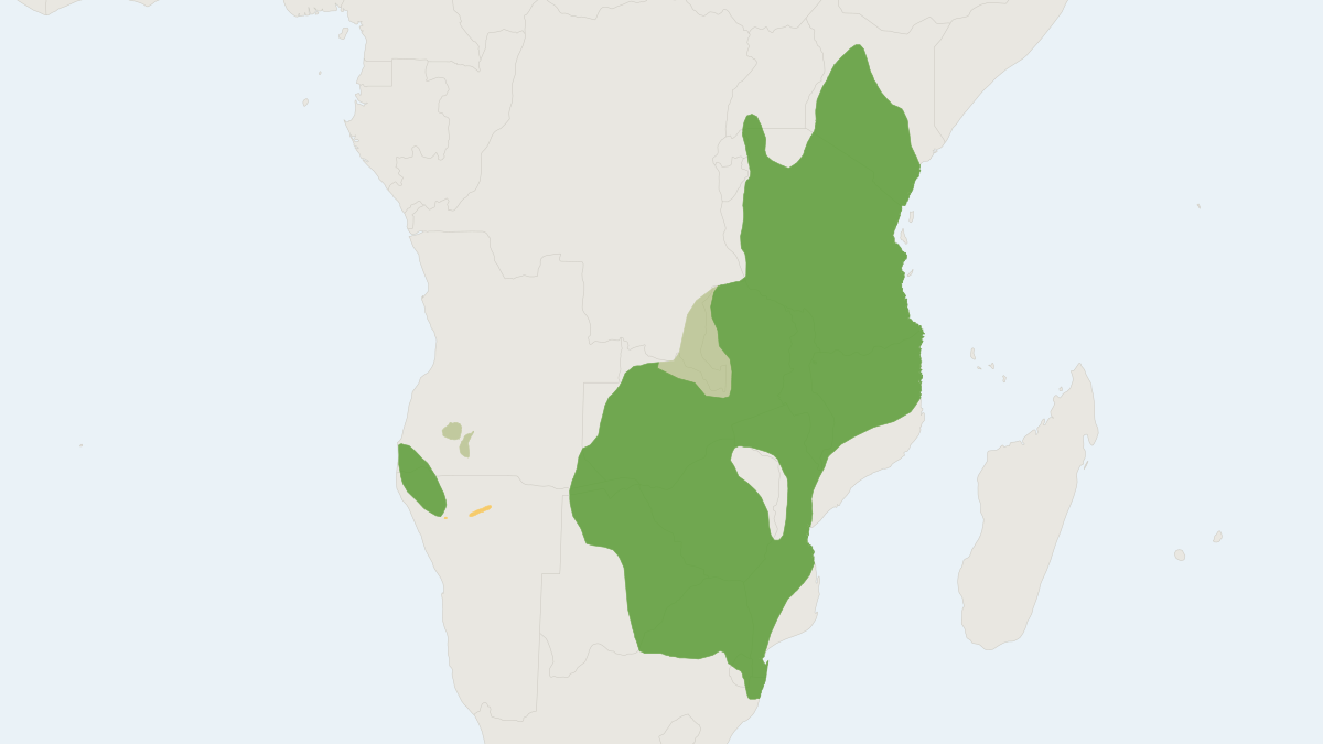 Range map of the Impala (Aepyceros melampus) covering Angola, Botswana and Democratic Republic of the Congo