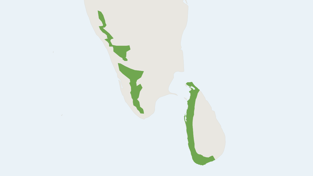 Range map of the Indian Brown Mongoose (Urva fusca)