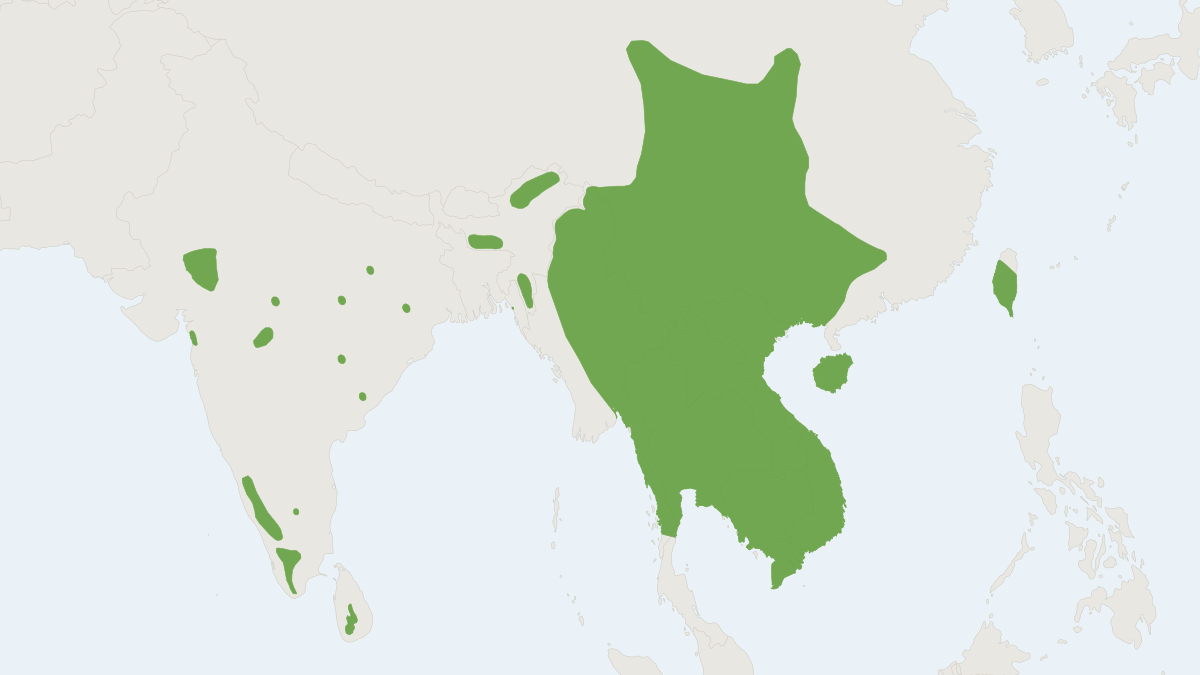 Range map of the Indian Giant Flying Squirrel (Petaurista philippensis)