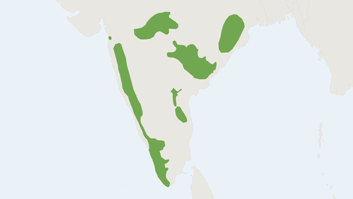 Range map of the Indian Giant Squirrel (Ratufa indica)