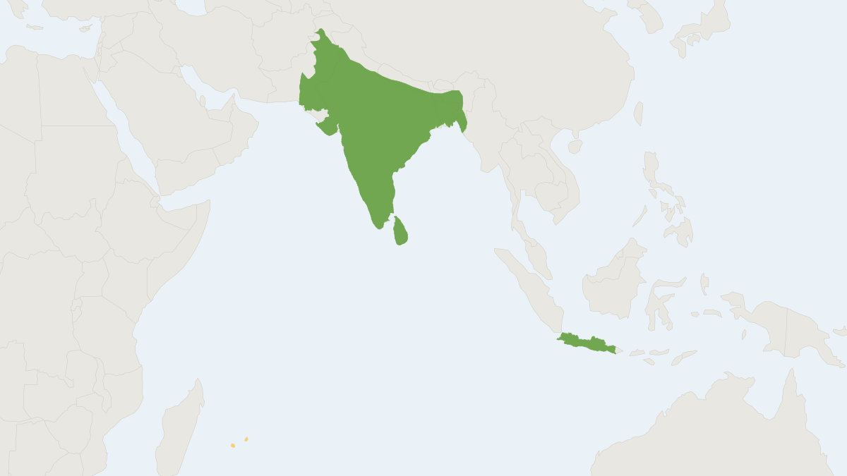Range map of the Indian Hare (Lepus nigricollis)