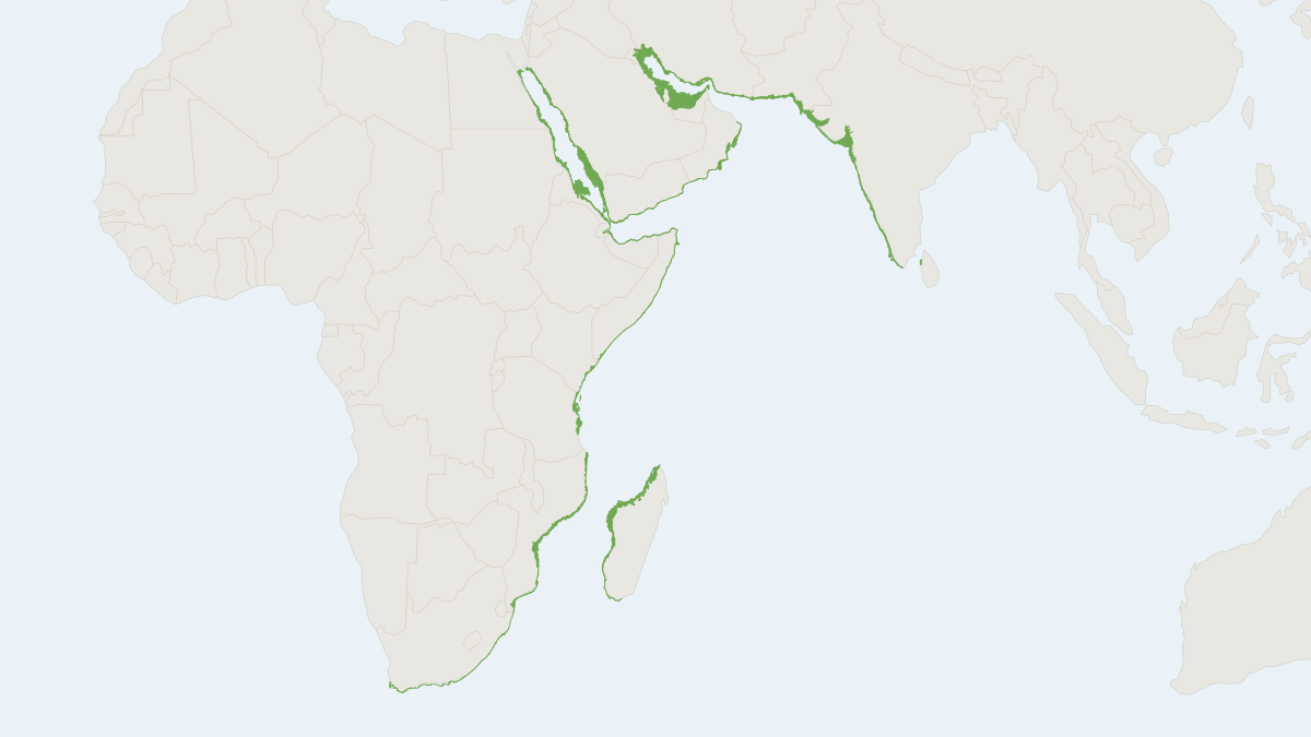 Range map of the Indian Ocean Humpback Dolphin (Sousa plumbea)