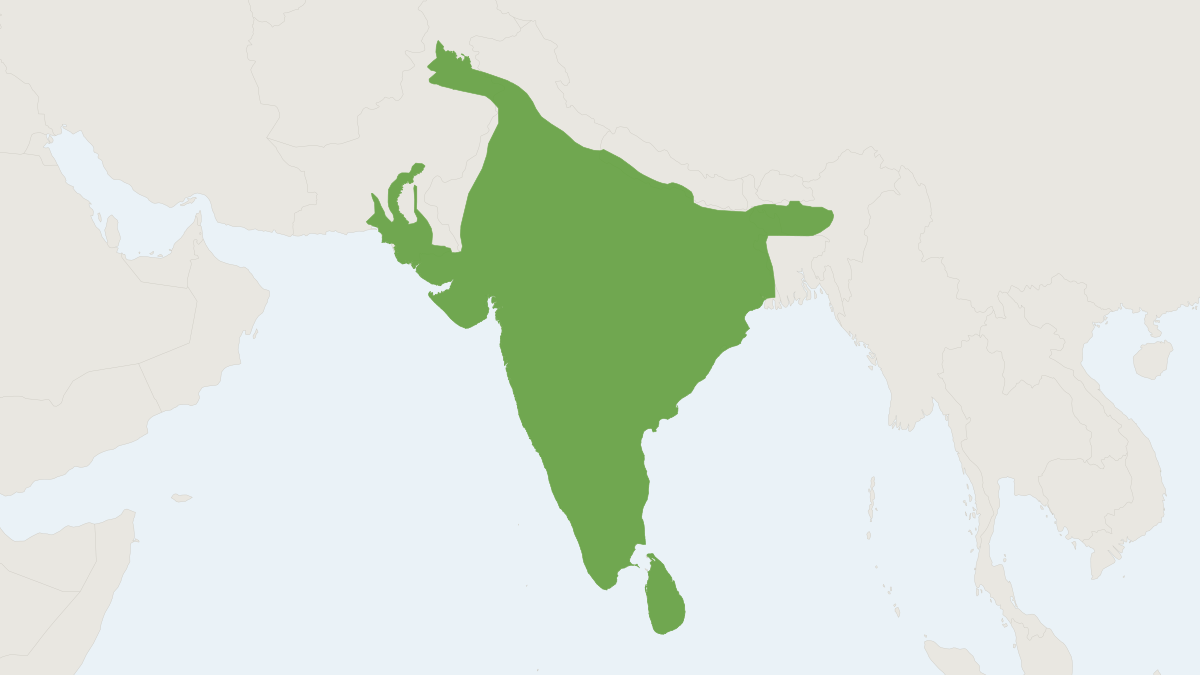 Range map of the Indian Pangolin (Manis crassicaudata) covering Bangladesh, India and Nepal