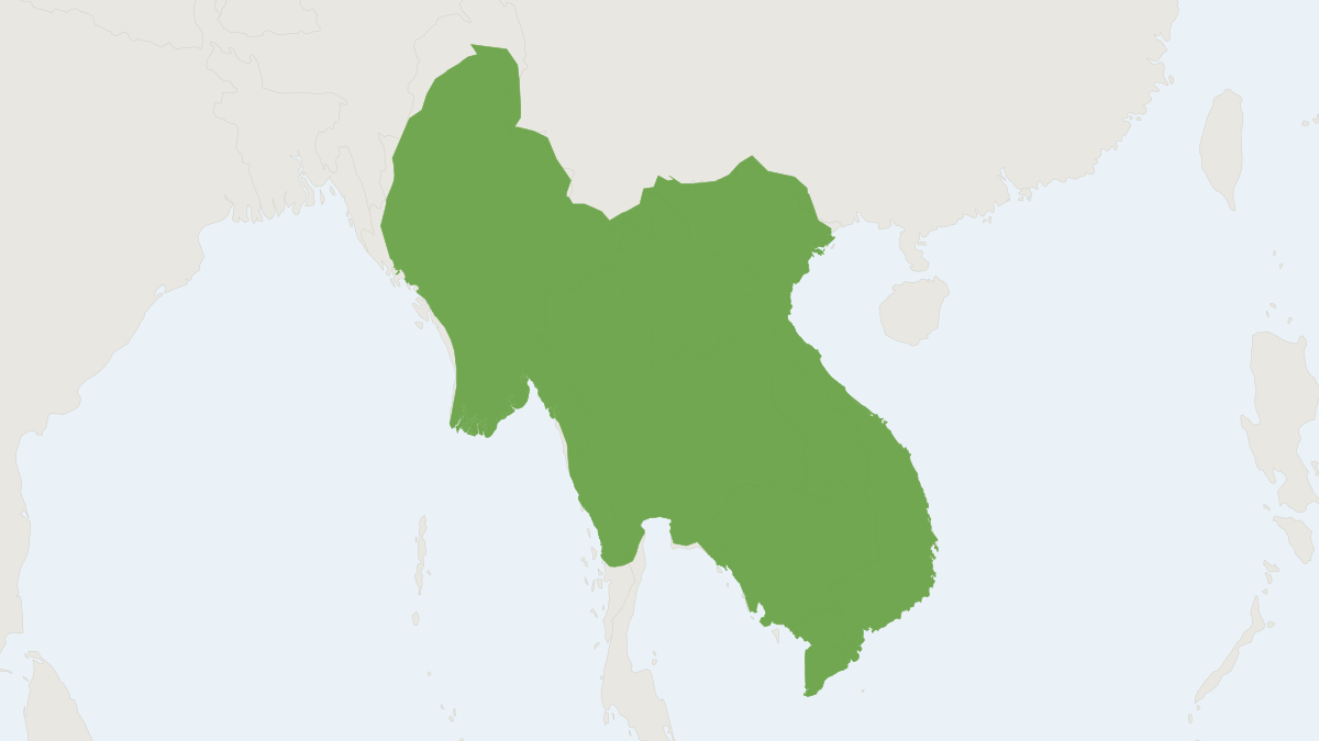 Range map of the Indo-Chinese Lesser Brown Horseshoe Bat (Rhinolophus microglobosus)