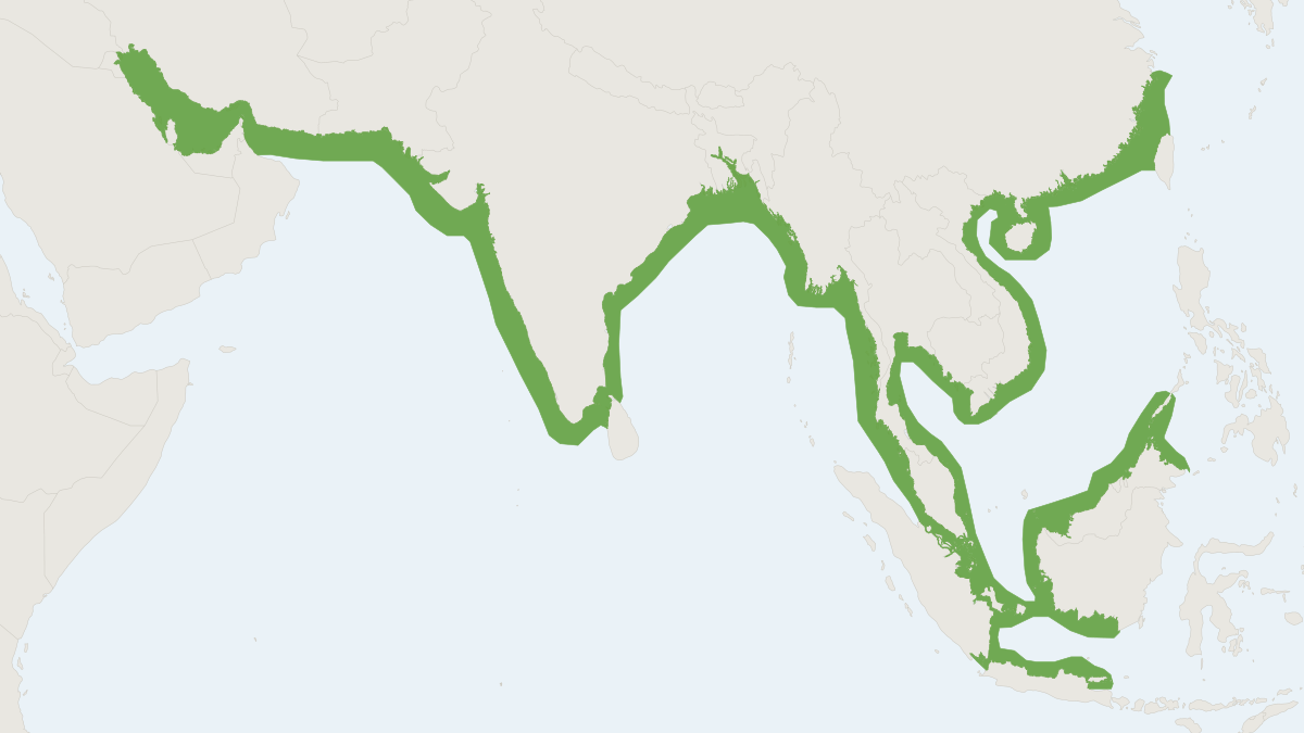 Range map of the Indo-Pacific Finless Porpoise (Neophocaena phocaenoides)