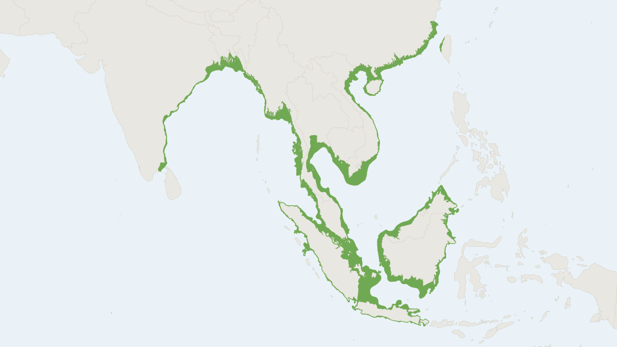 Range map of the Indo-Pacific Humpback Dolphin (Sousa chinensis)