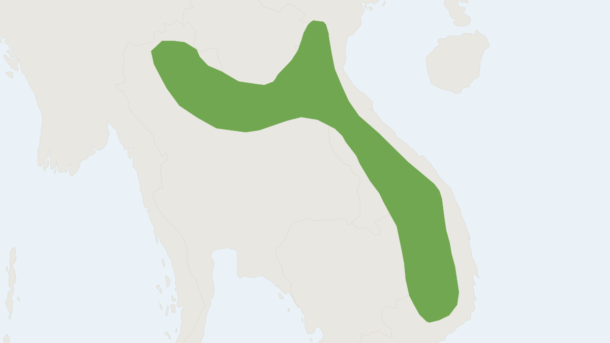 Range map of the Indochina's Flat-headed Woolly Bat (Kerivoula dongduongana)