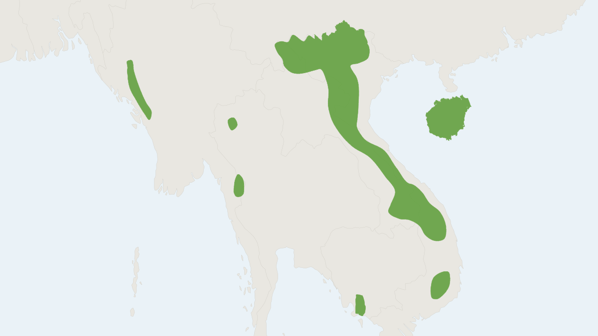 Range map of the Indochinese Mountain Niviventer (Niviventer tenaster)