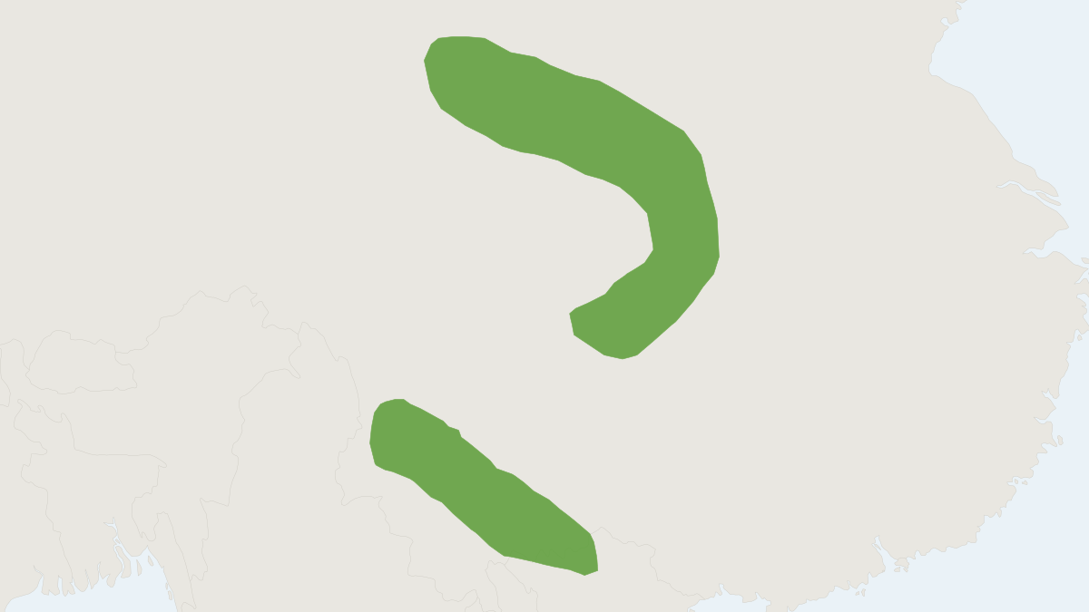 Range map of the Indochinese Short-tailed Shrew (Blarinella griselda)