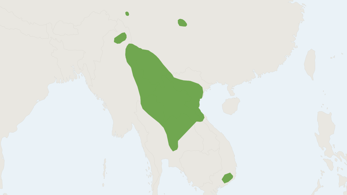 Range map of the Indochinese Shrew (Crocidura indochinensis)