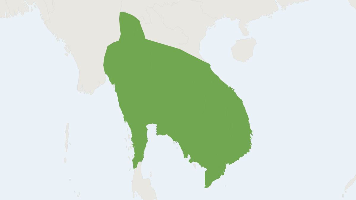 Range map of the Indochinese Thick-thumbed Bat (Glischropus bucephalus)