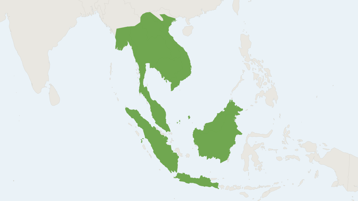 Range map of the Indomalayan Maxomys (Maxomys surifer)