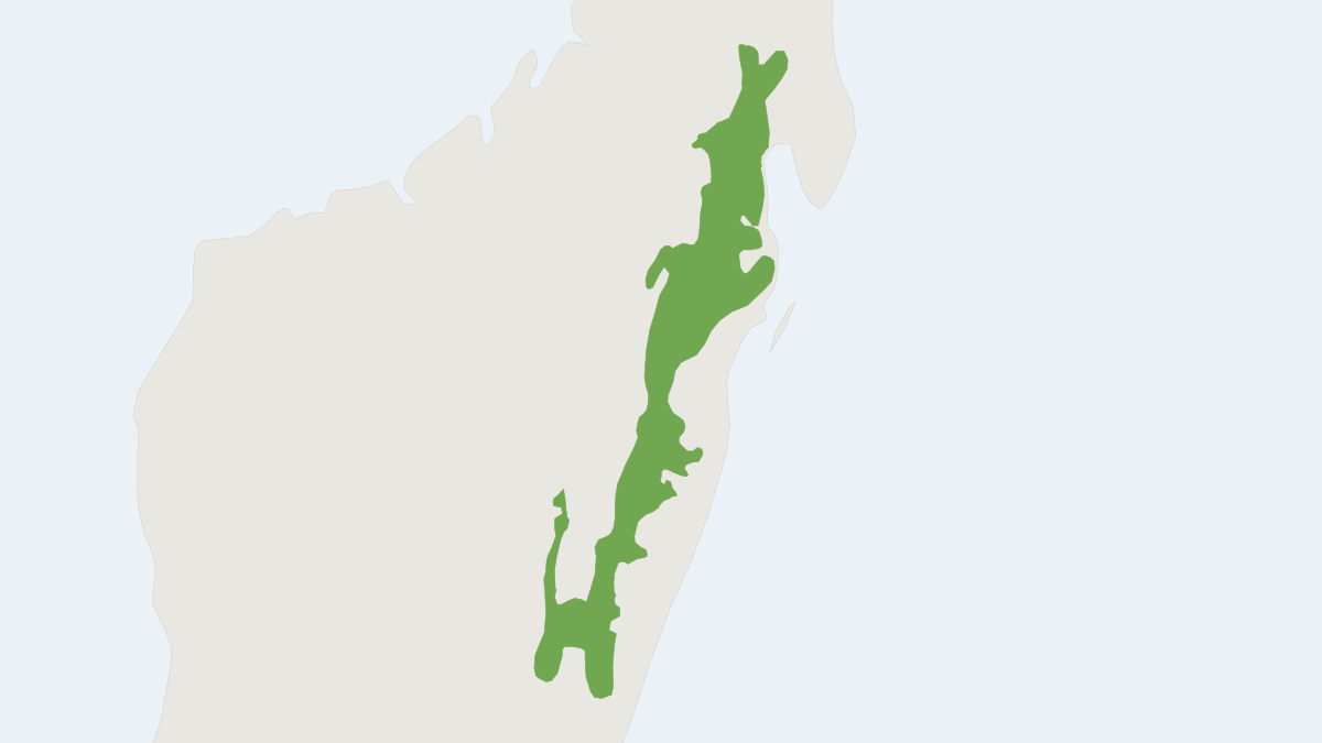 Range map of the Indri (Indri indri) covering Madagascar