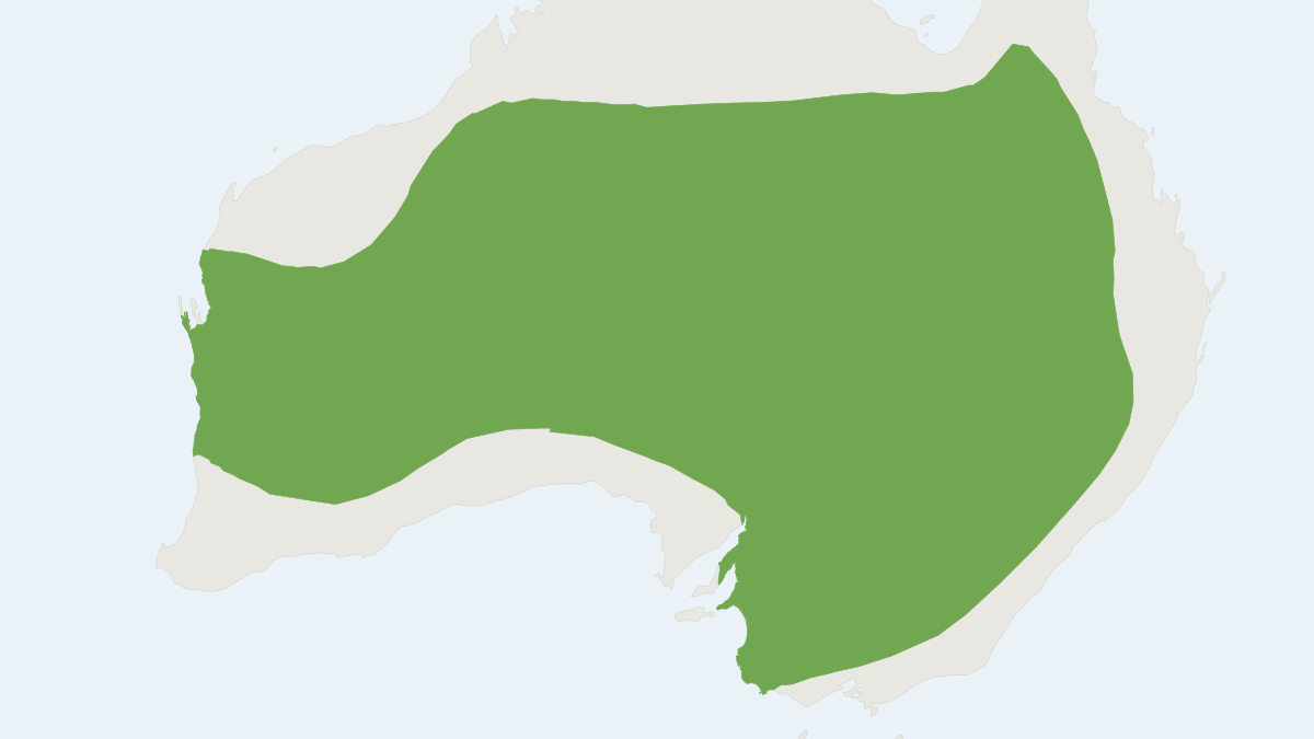 Range map of the Inland Broad-nosed Bat (Scotorepens balstoni)