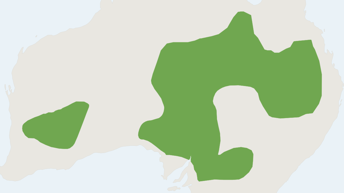 Range map of the Inland Forest Bat (Vespadelus baverstocki)