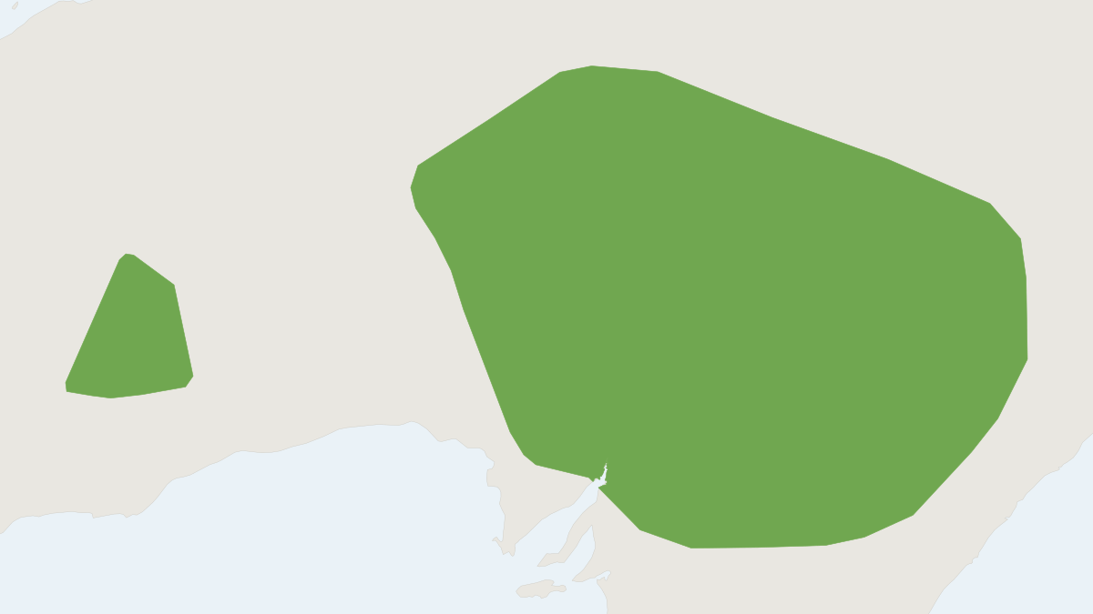 Range map of the Inland Free-tailed Bat (Ozimops petersi)