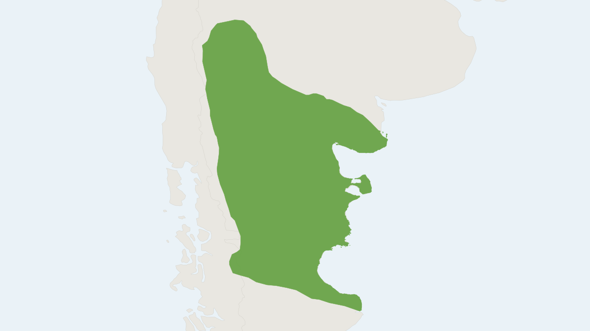 Range map of the Intelligent Grass Mouse (Akodon iniscatus) covering Argentina