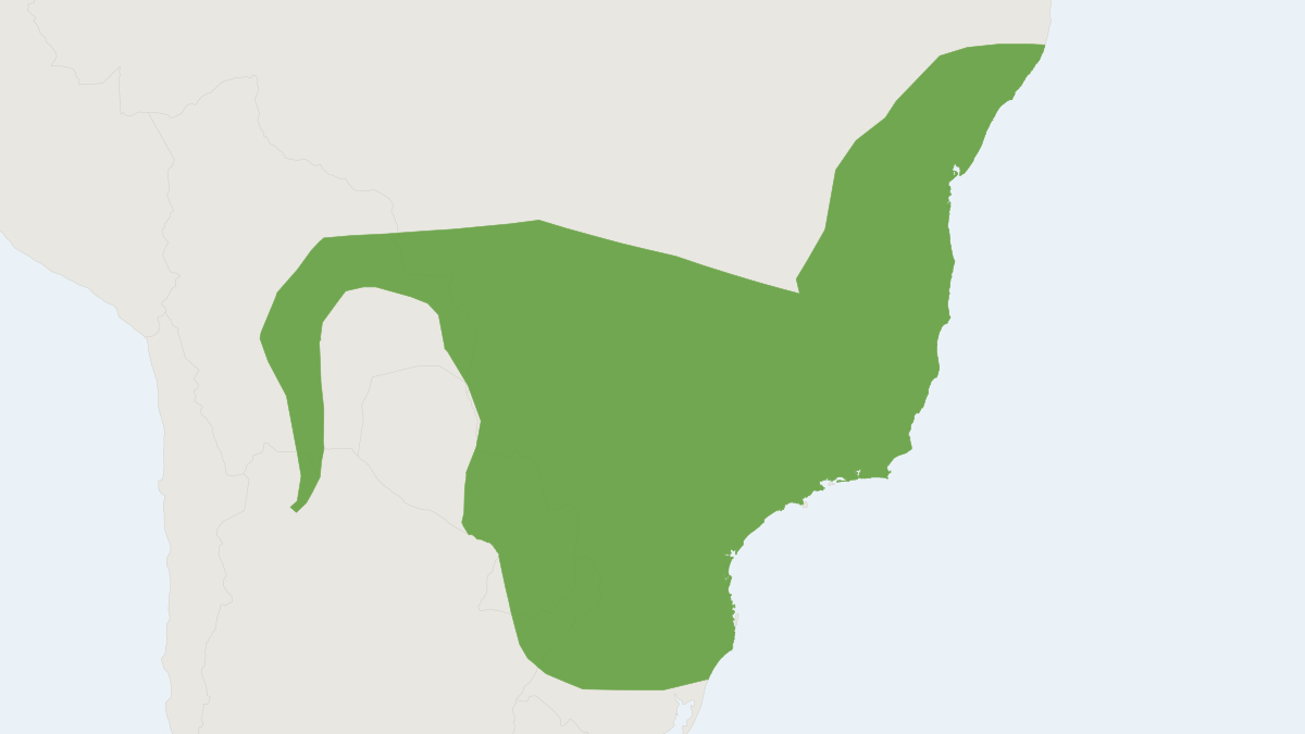 Range map of the Ipanema Bat (Pygoderma bilabiatum)