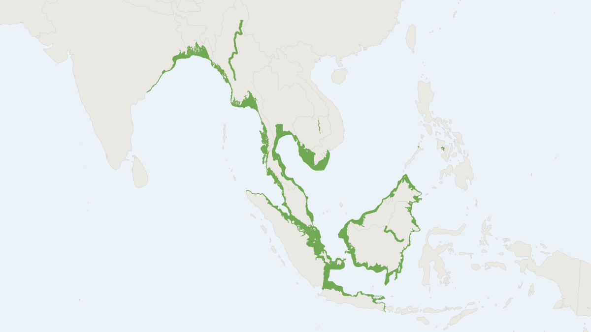 Range map of the Irrawaddy Dolphin (Orcaella brevirostris)